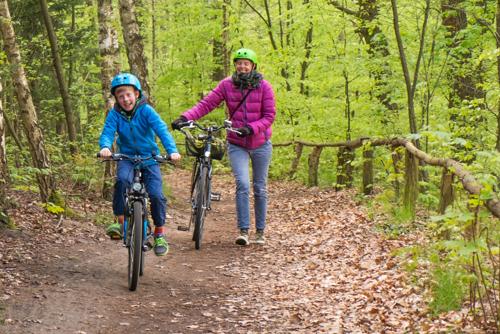 Durch den Königswald nach Sacrow