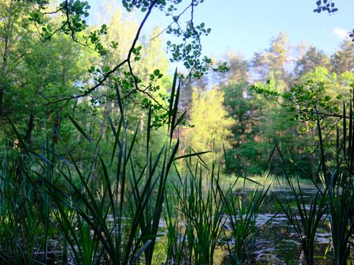 Wanderung an der Kuhlake