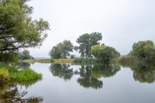 In den Gülper Havelauen