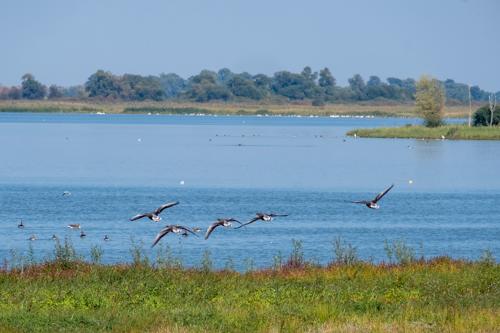Beobachtungsturm Prietzen I