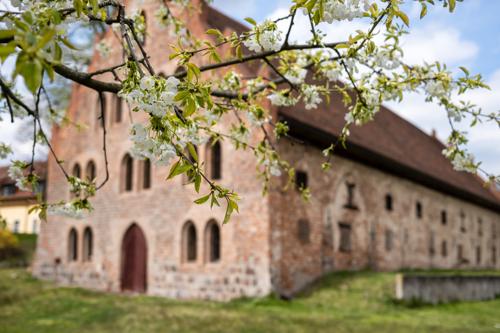 An der Emster zum Kloster Lehnin