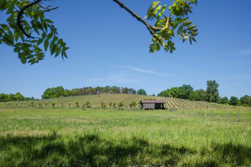 Weingut Klosterhof Töplitz