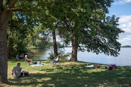 Am Alten Hafen Trebelsee