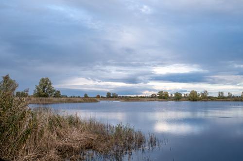 An den Linumer Teichen