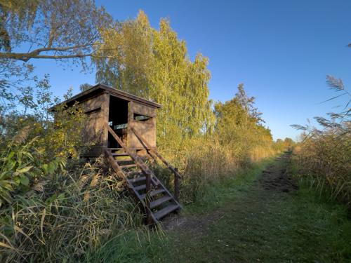 Beobachtungsturm Linum 2