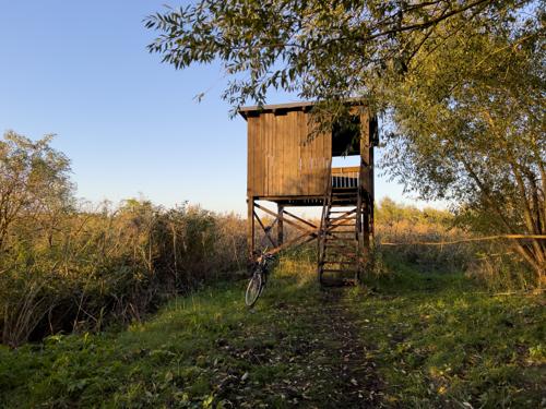 Beobachtungsturm Linum 3