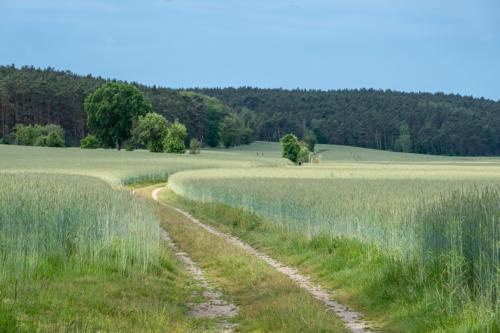 Rund um das Marzahner Fenn