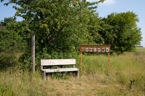 Rastplatz am Kirschbaum