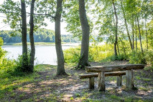 Rund um den Wolzensee