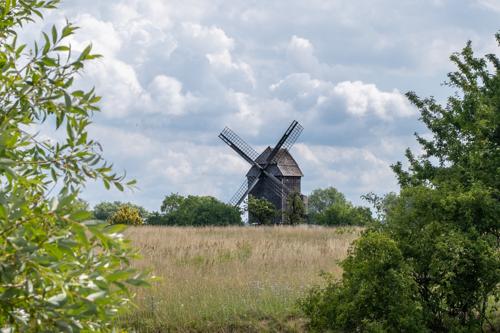Schwante und der Krämer Forst