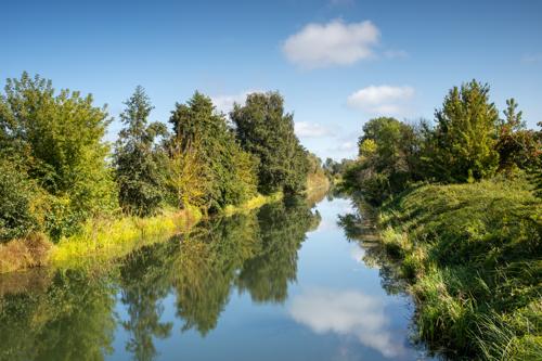 Der Zootzen und der Alte Rhin