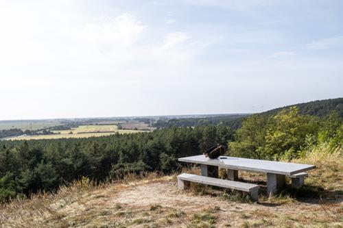 Rastplatz Milower Berg