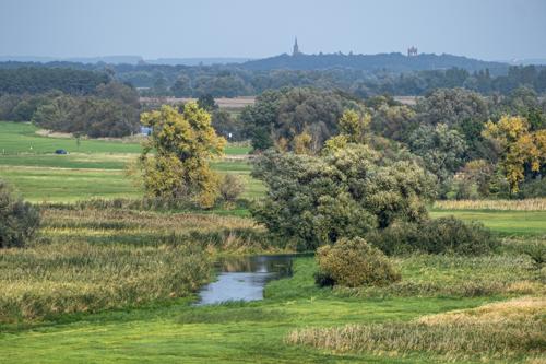 Im Naturschutzgebiet Untere Havel