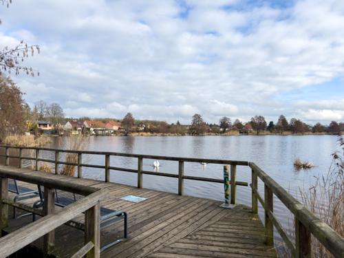 Aussicht am Mühlenteich