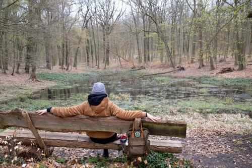 Rastplatz Düstere Teiche