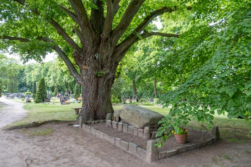 Friedhofslinde Wustrau