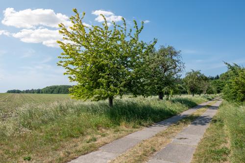 Rund um die Behnitzer Seen