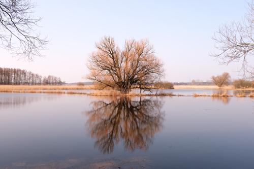 Rund um den Pritzerber See