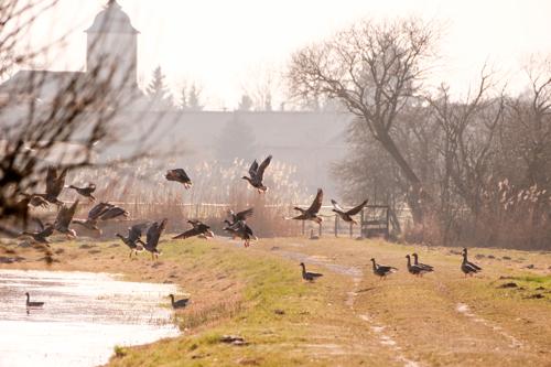 Havelseerunde im Vorfrühling