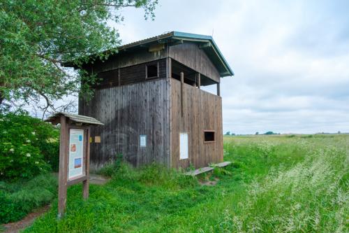 Beobachtungsturm Strengsee