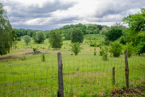 Hahneberg, Engelsfelde und die kleine Döberitzer Heide