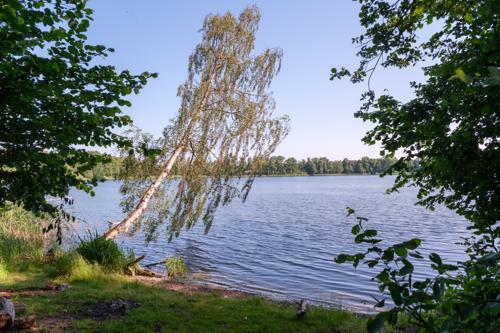 Wanderung am Kleßener See