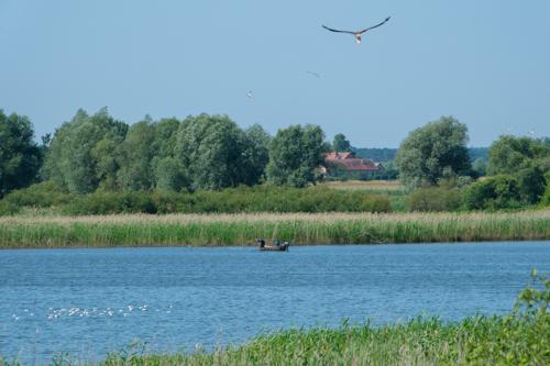 Strodehne und Gülper See