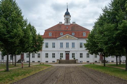 Durch den Gestütswald