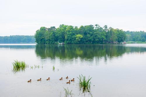 Rund um den Untersee