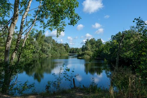 Blick auf das Gewässer
