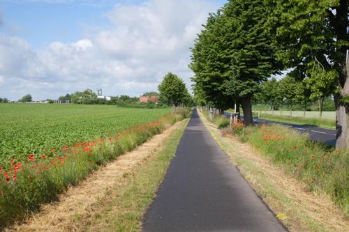 Radweg bei Falkenrehde