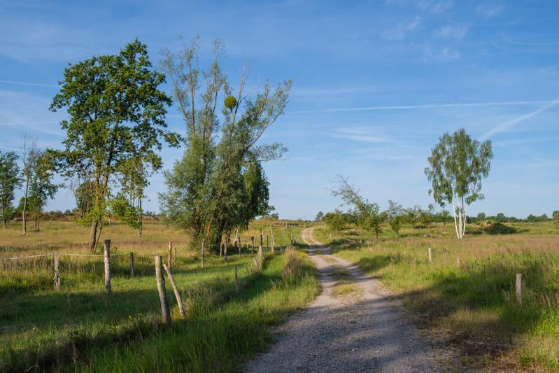 Rundweg in der Döberitzer Heide
