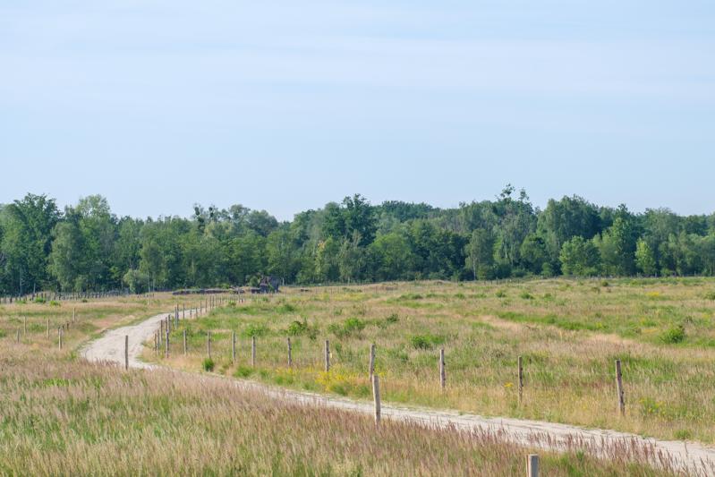 Weg durch die "Wüste"