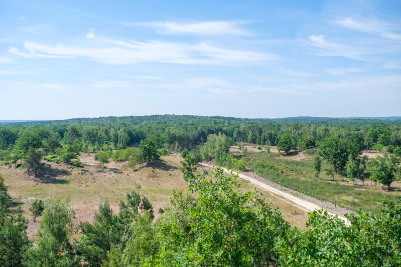 Blick vom Aussichtsturm