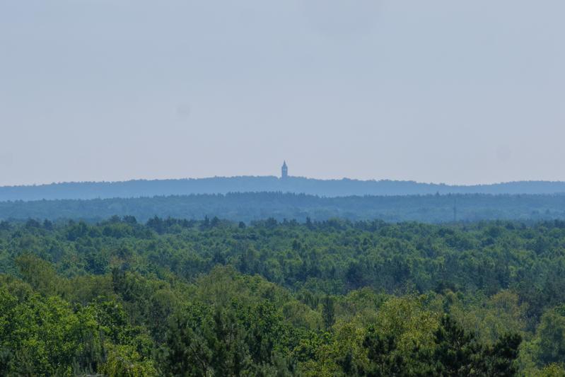 Blick zum Grunewaldturm