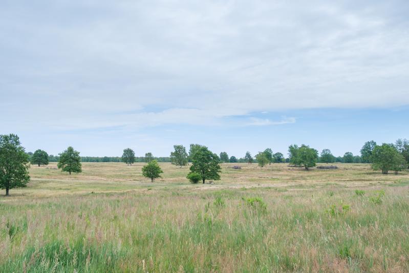 Blick ins Giebelfenn