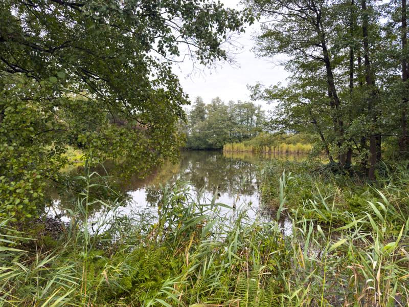 Verborgene Seen westlich von Kartzow